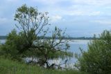 Image of landscape