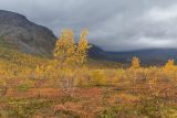 Долина Малого Вудъявра, image of landscape/habitat.
