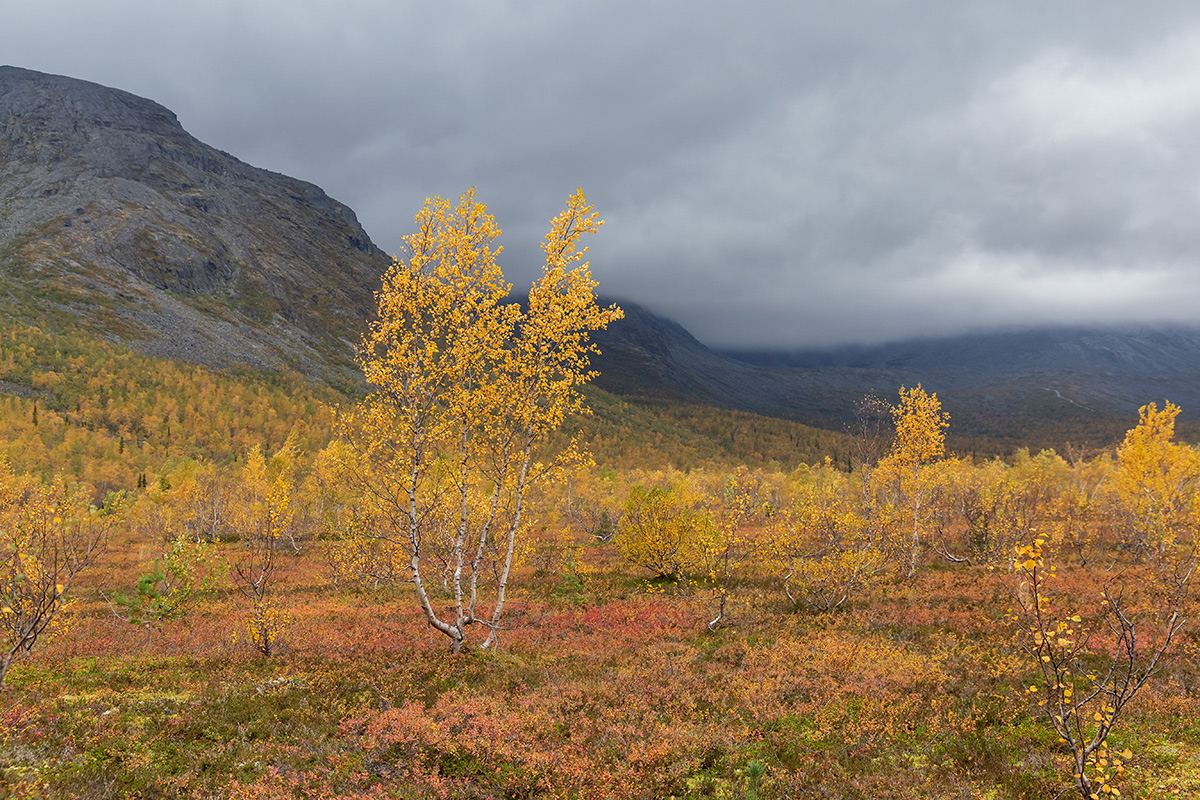 Долина Малого Вудъявра, image of landscape/habitat.