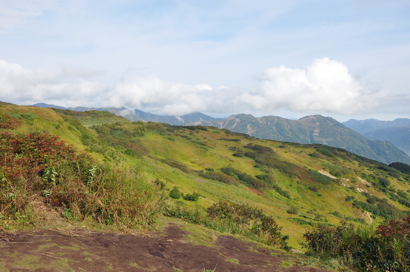 Вилючинский перевал, изображение ландшафта.