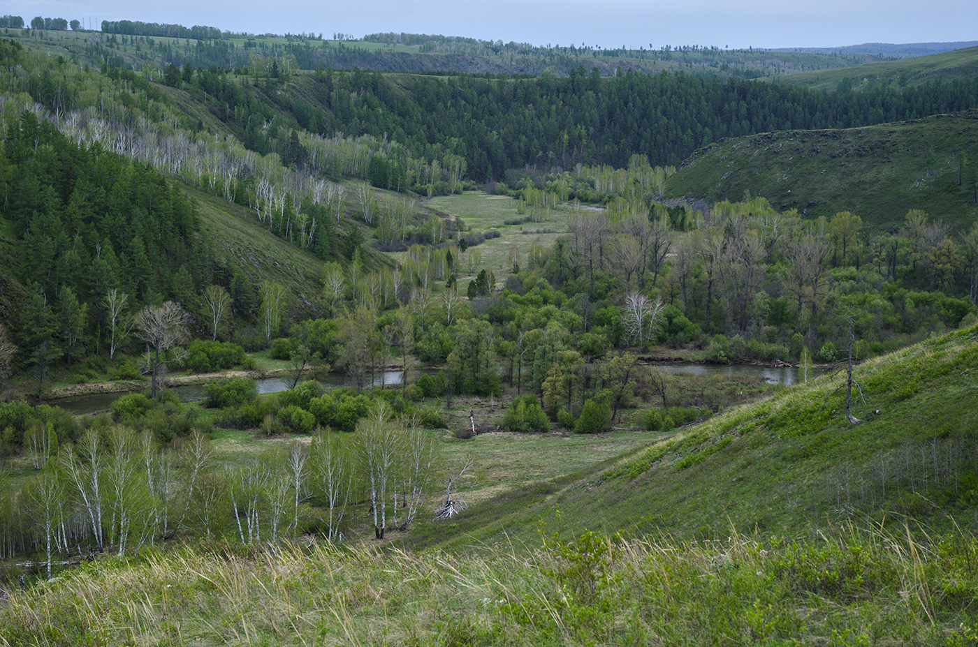 Уразбаево, image of landscape/habitat.