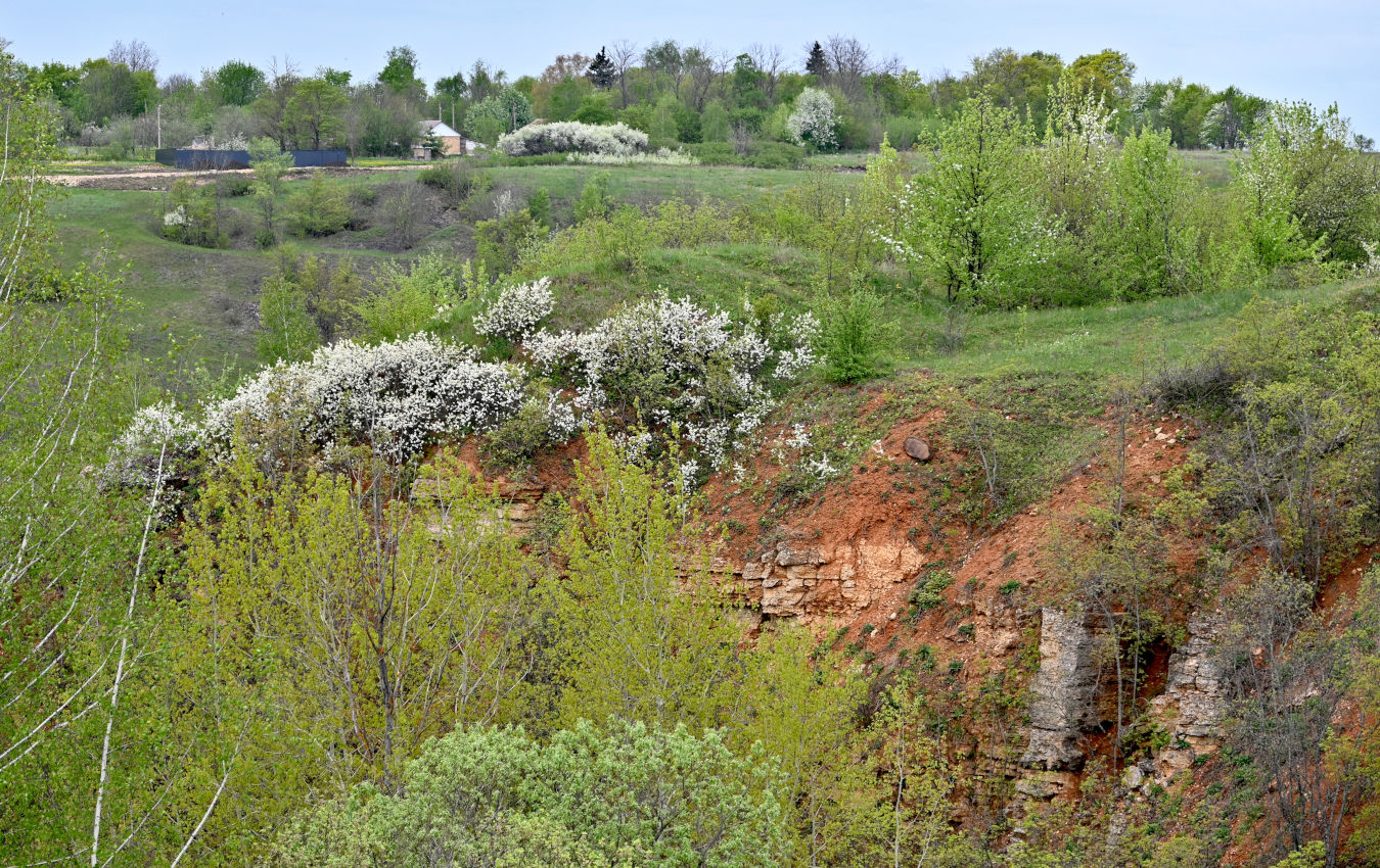 Долина реки Воргол, image of landscape/habitat.