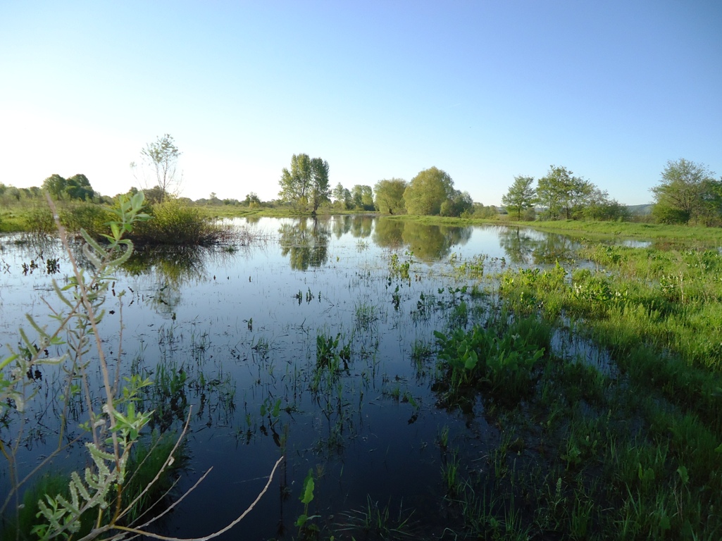 Солдыбаево, image of landscape/habitat.