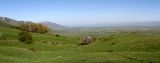 Ущелье Иргайлы, image of landscape/habitat.