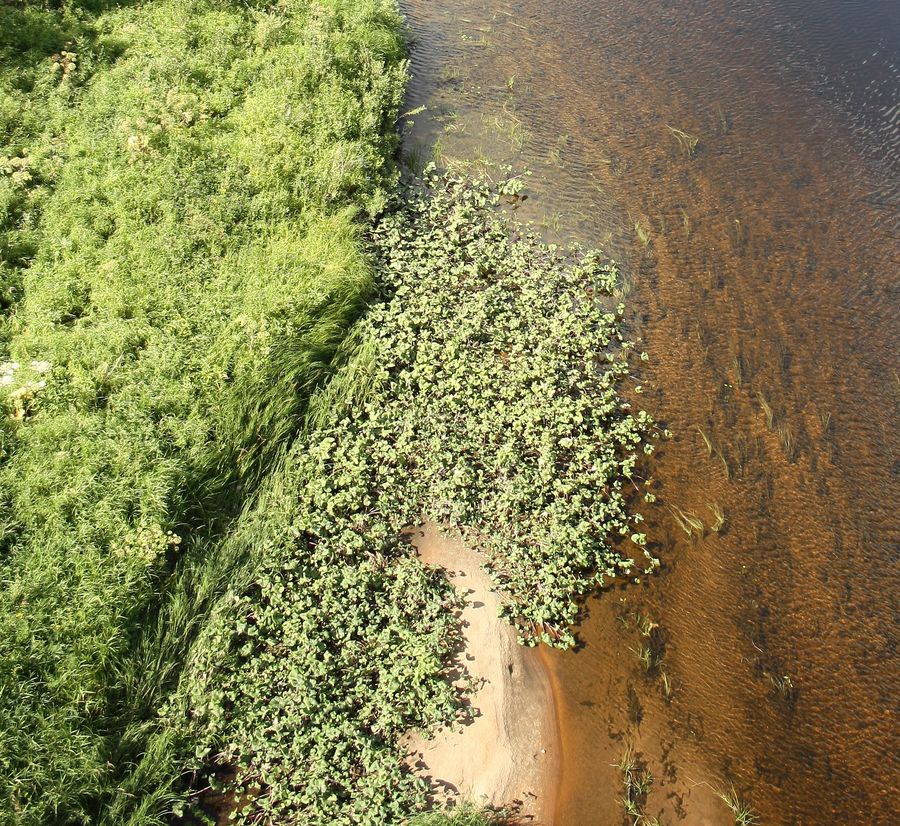 Солгинский, image of landscape/habitat.