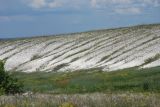 Дивногорье, image of landscape/habitat.