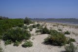 Акундиново гирло, image of landscape/habitat.