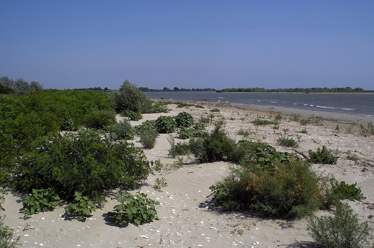 Акундиново гирло, image of landscape/habitat.