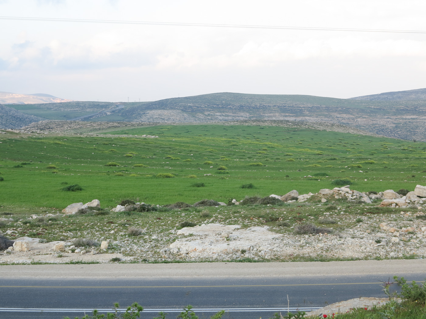 Самария, image of landscape/habitat.