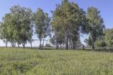 Спасская гора и её окрестности, image of landscape/habitat.