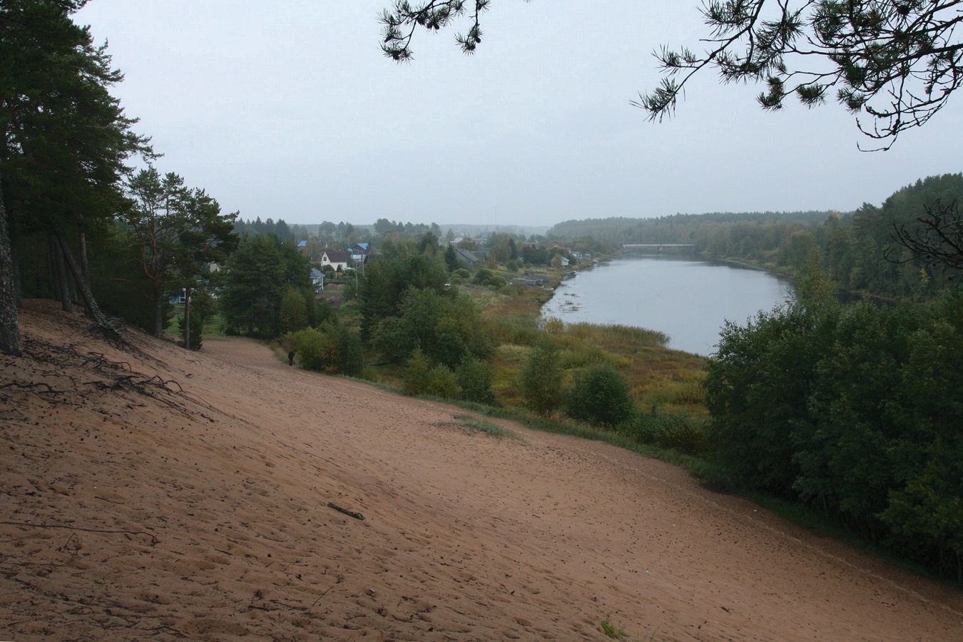 Устье Тулоксы, изображение ландшафта.