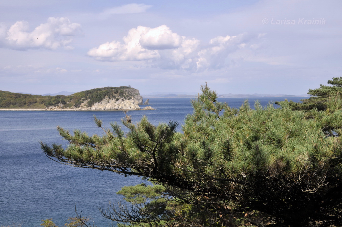 Мыс Сосновый и кекуры Бакланьи, image of landscape/habitat.