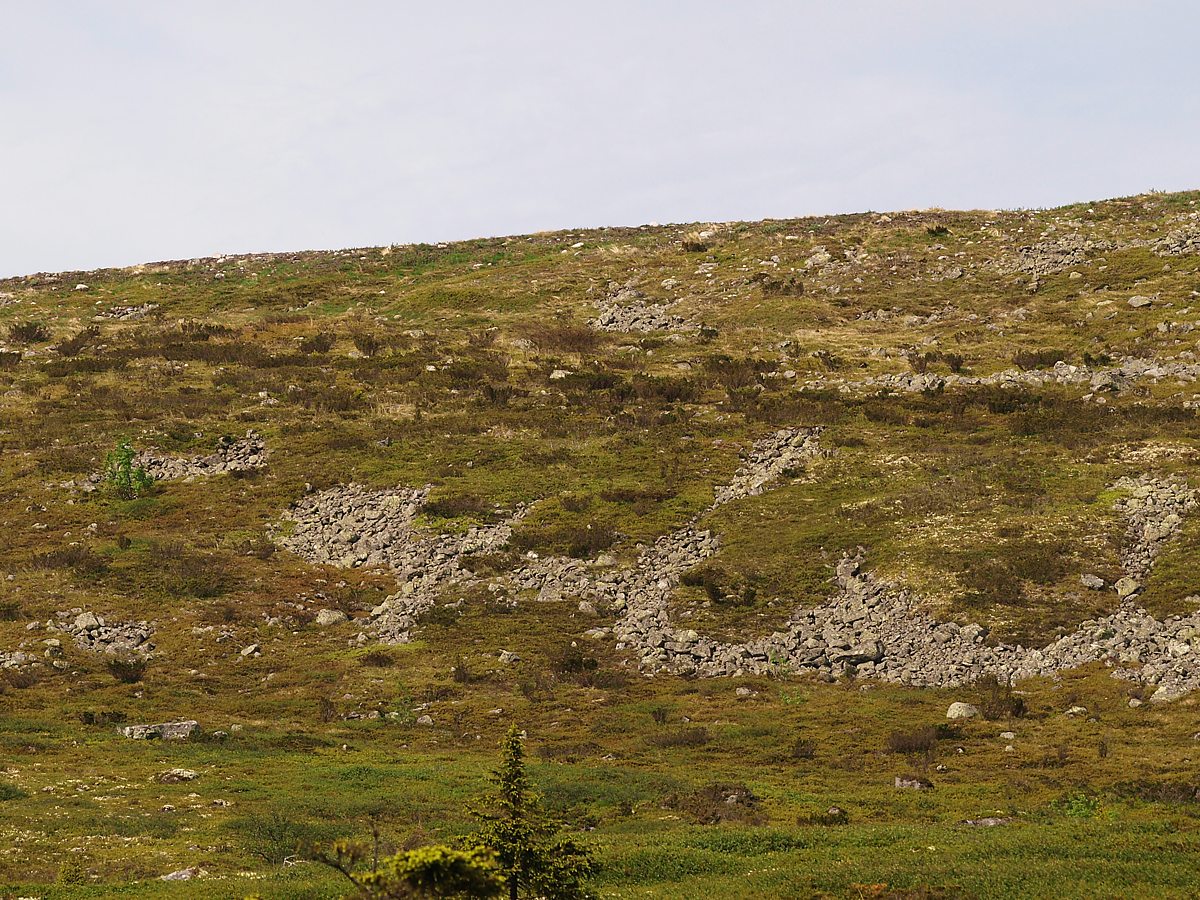 Лувеньгские Тундры, image of landscape/habitat.