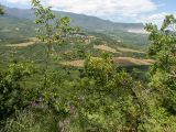 Image of landscape