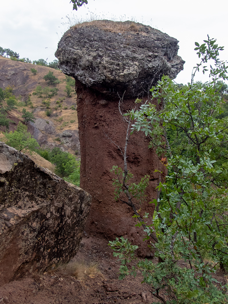 Долина реки Сотера, image of landscape/habitat.