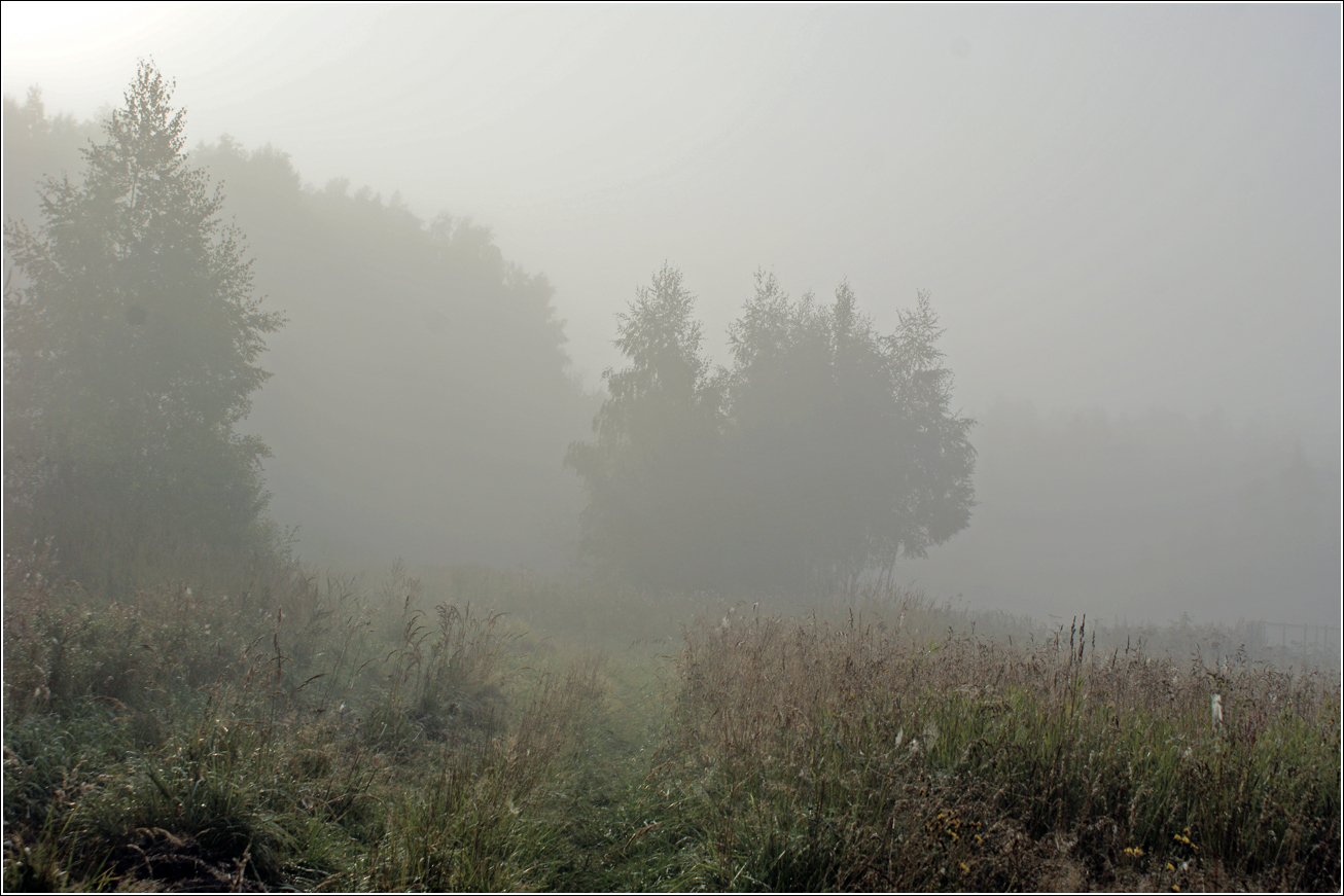 Окрестности Хрипани, image of landscape/habitat.
