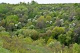 Долина реки Воргол, image of landscape/habitat.