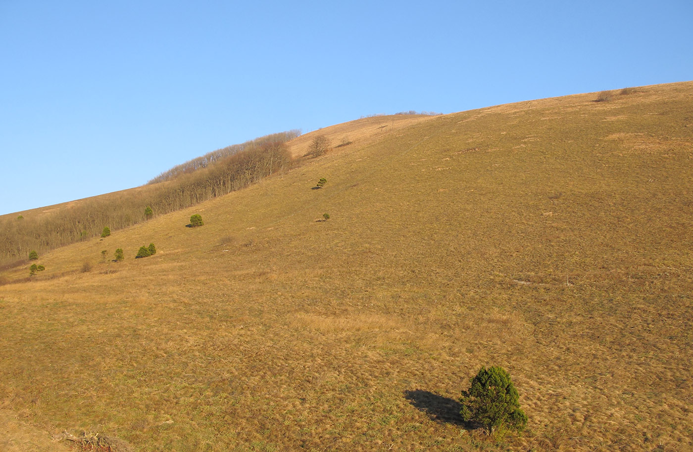 Гора Безумная, image of landscape/habitat.