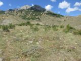 Image of landscape