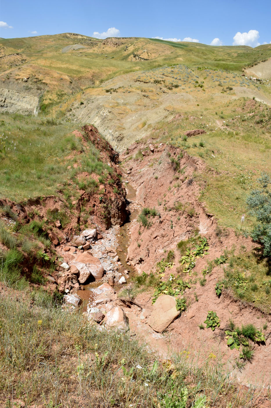 Окрестности кишлака Хумман, image of landscape/habitat.