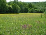 Култук, image of landscape/habitat.