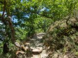 Image of landscape