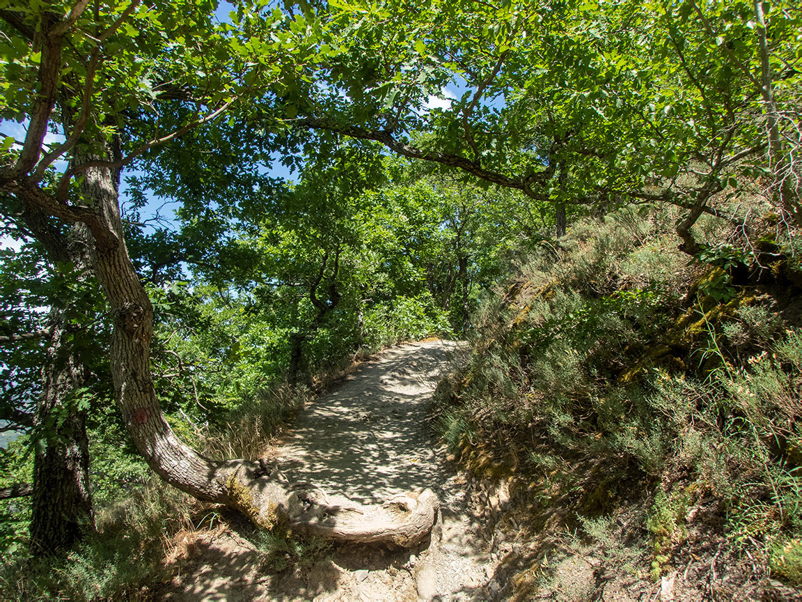 Аюдаг, image of landscape/habitat.
