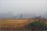 Окрестности Хрипани, image of landscape/habitat.
