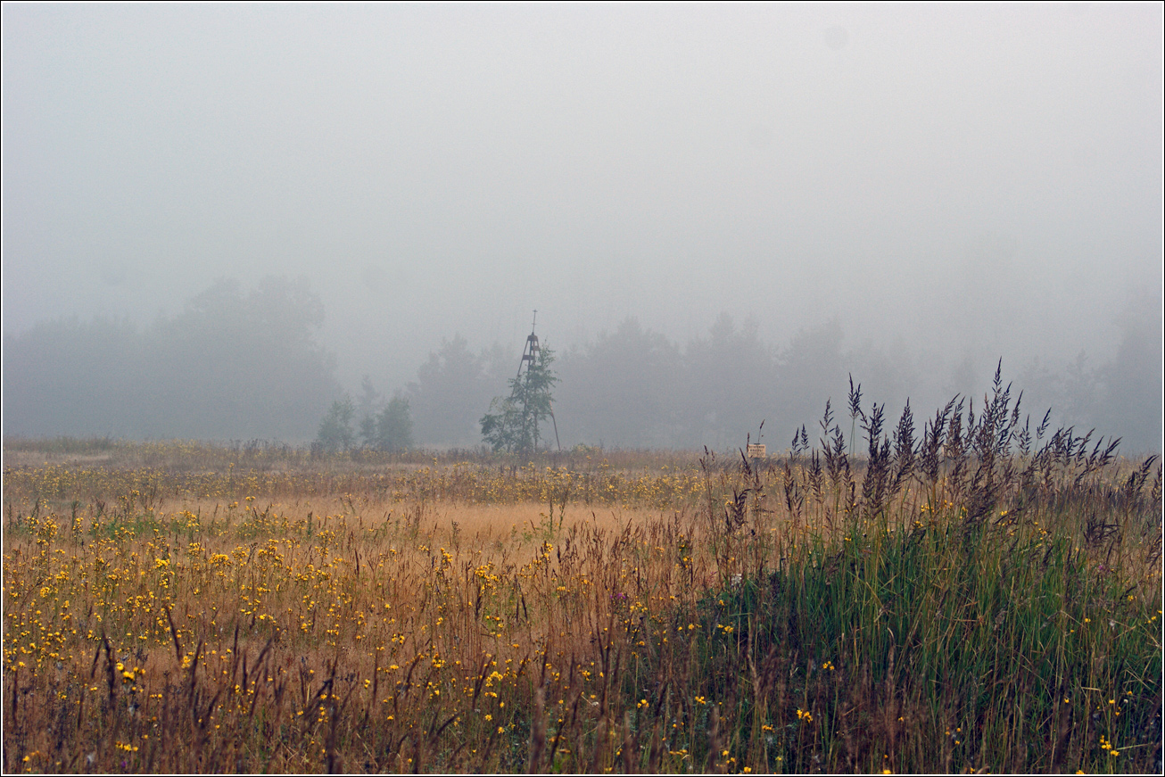 Окрестности Хрипани, image of landscape/habitat.