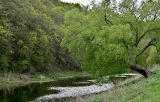 Долина реки Воргол, image of landscape/habitat.