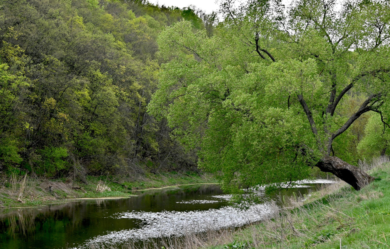 Долина реки Воргол, image of landscape/habitat.