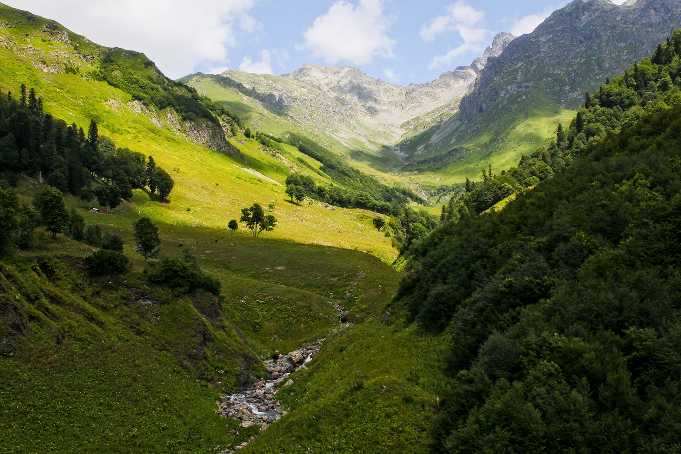 Авадхара (Ауадхара), image of landscape/habitat.