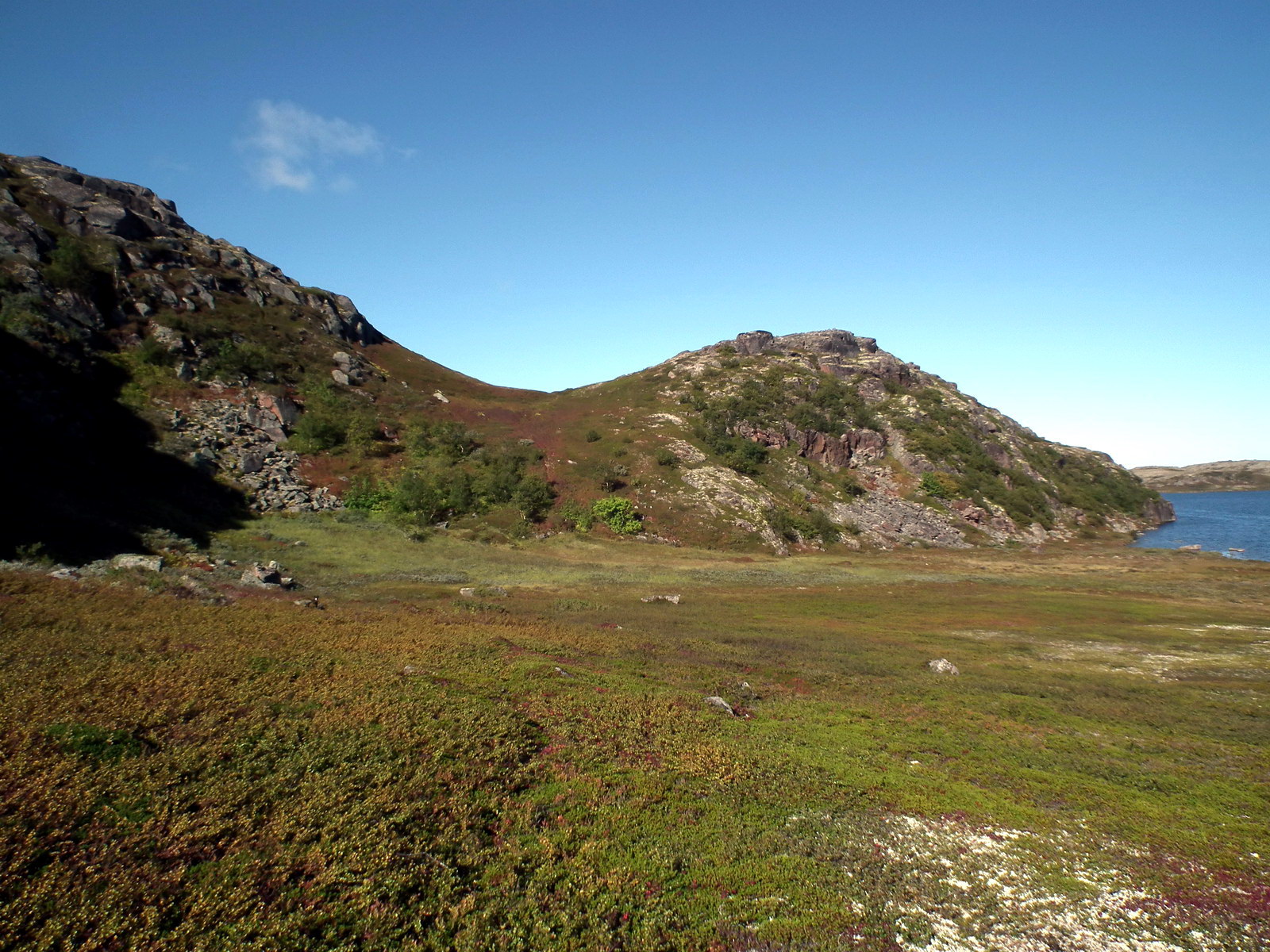 Большое Хариусовое озеро, image of landscape/habitat.