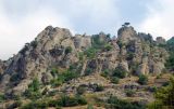 Image of landscape