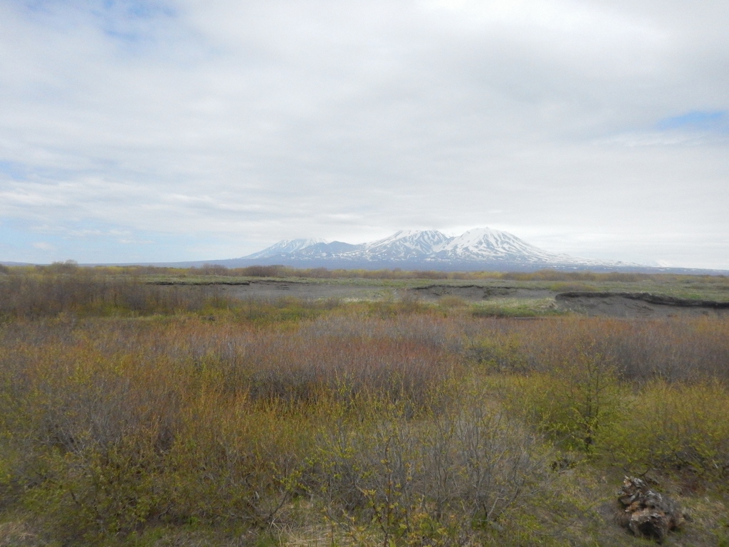 Река Халактырка, image of landscape/habitat.