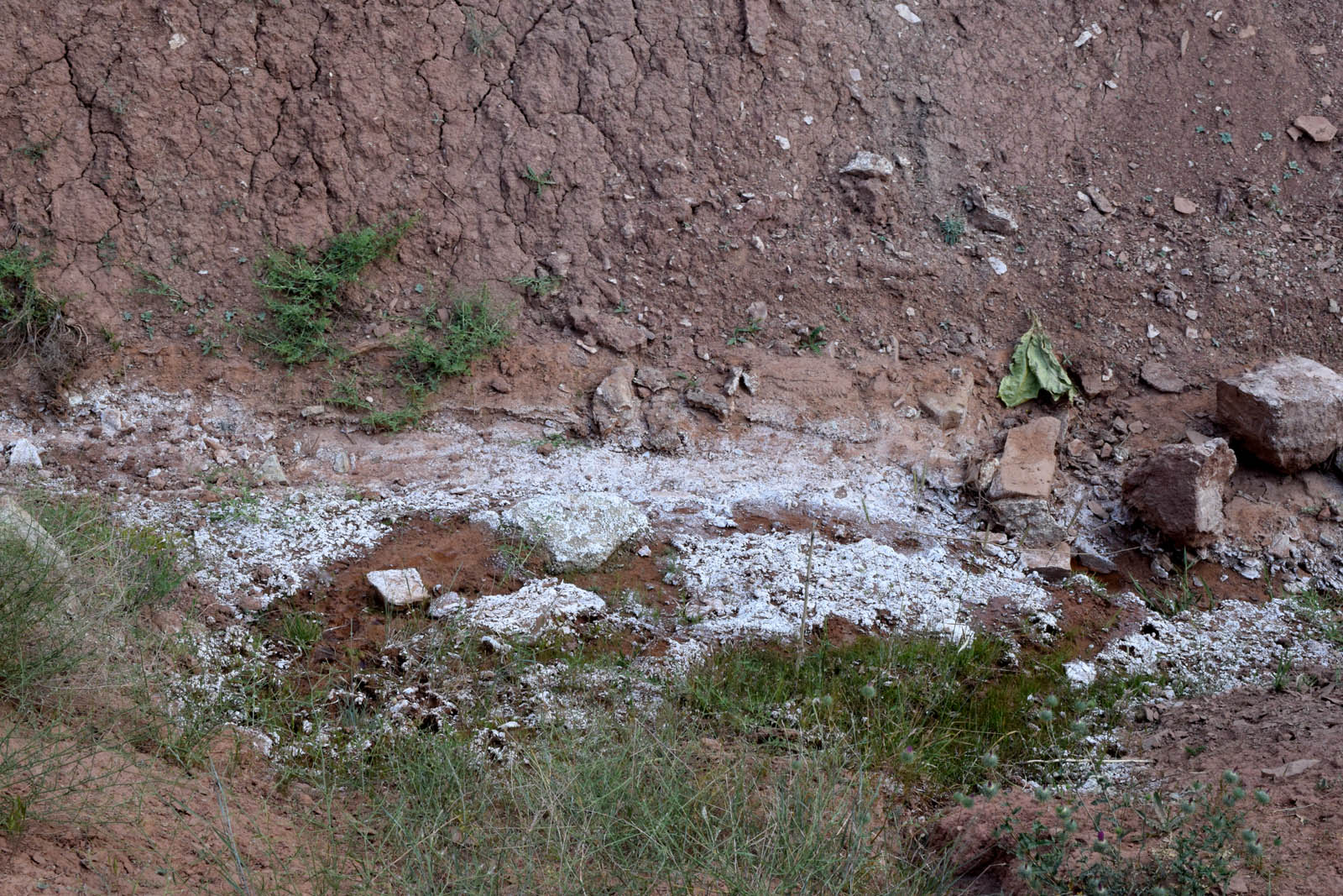 Окрестности кишлака Хумман, image of landscape/habitat.