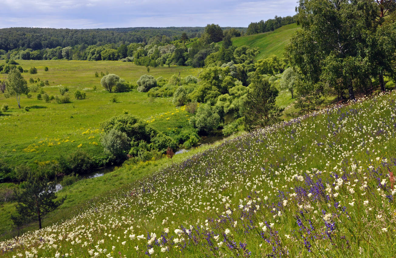 Долина реки Вашана, image of landscape/habitat.