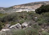 Image of landscape