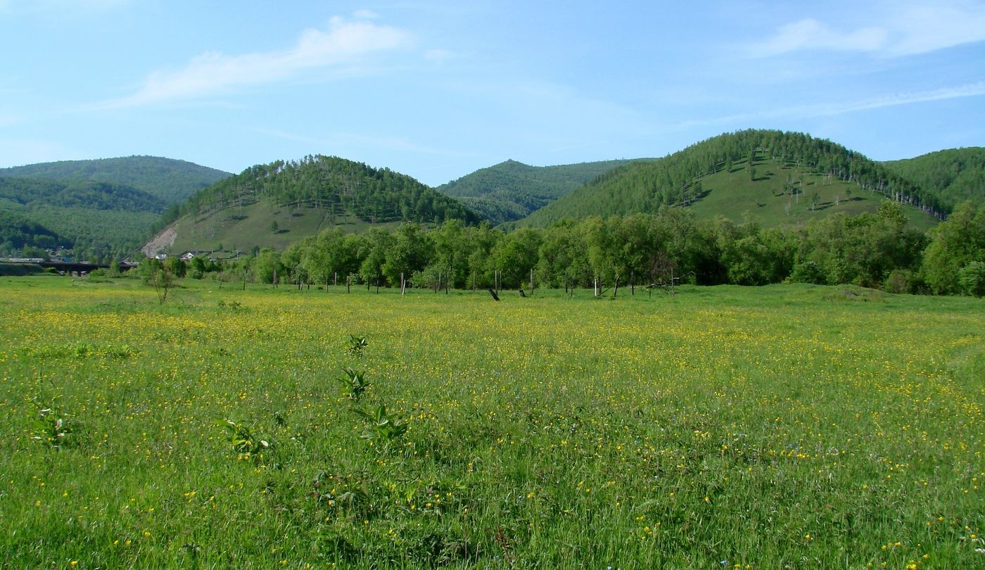 Култук, изображение ландшафта.