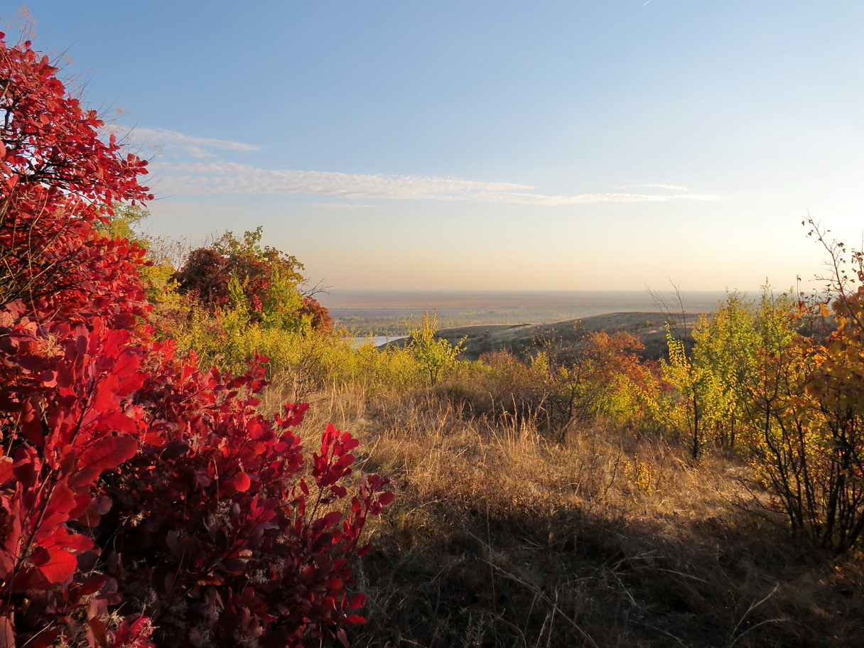 Пухляковские склоны, image of landscape/habitat.