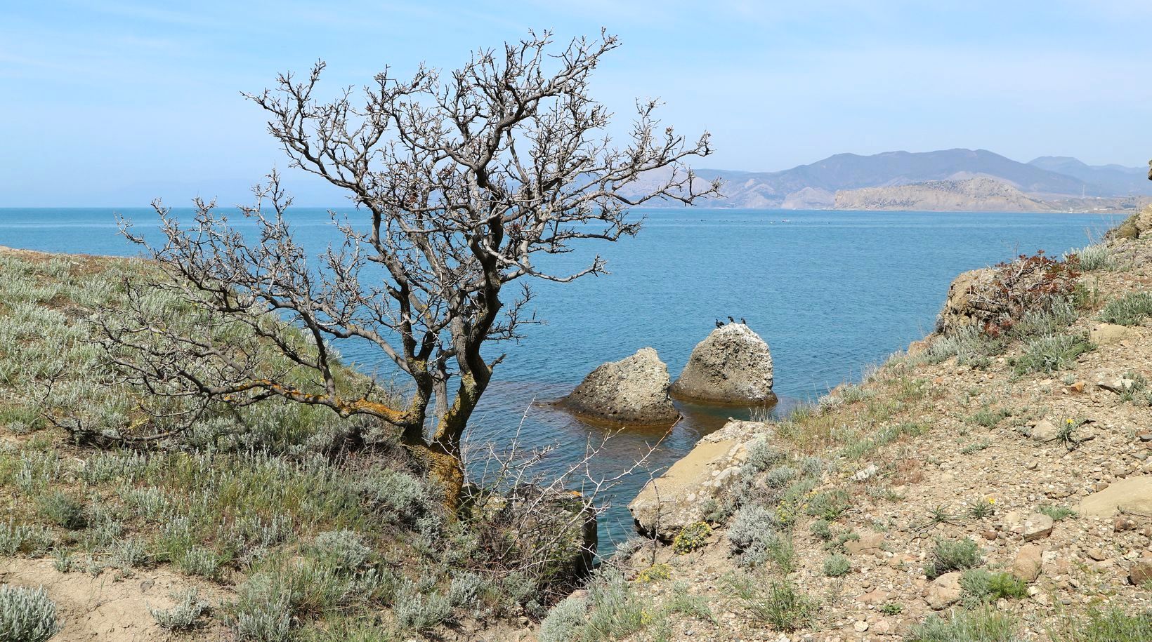 Меганом, image of landscape/habitat.