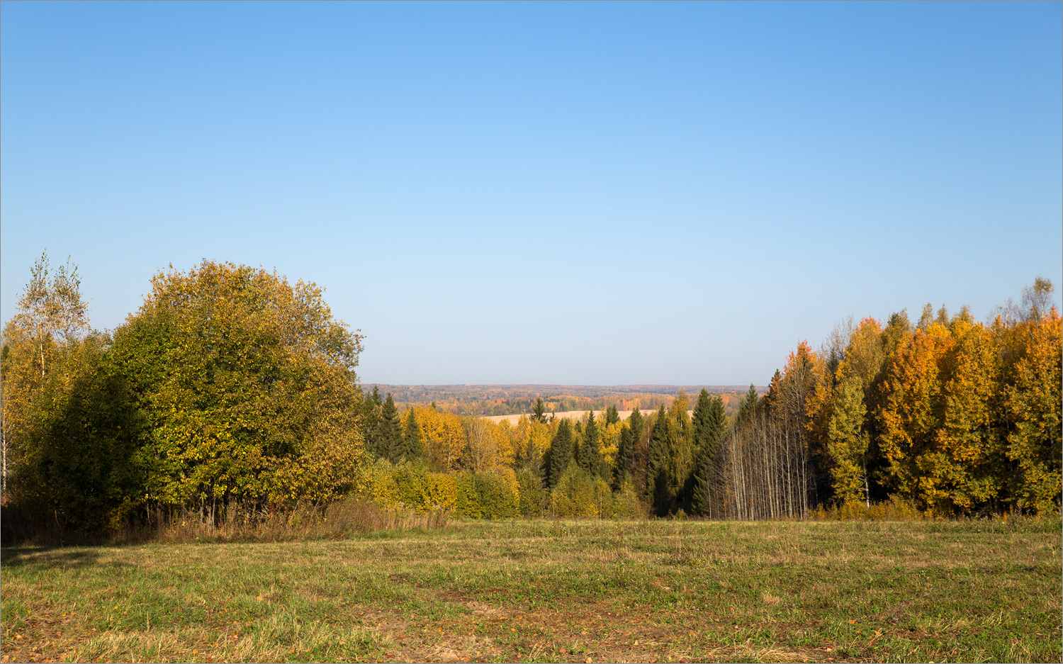 Окрестности Галичского озера, image of landscape/habitat.