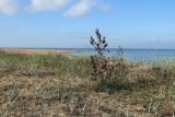 Image of landscape