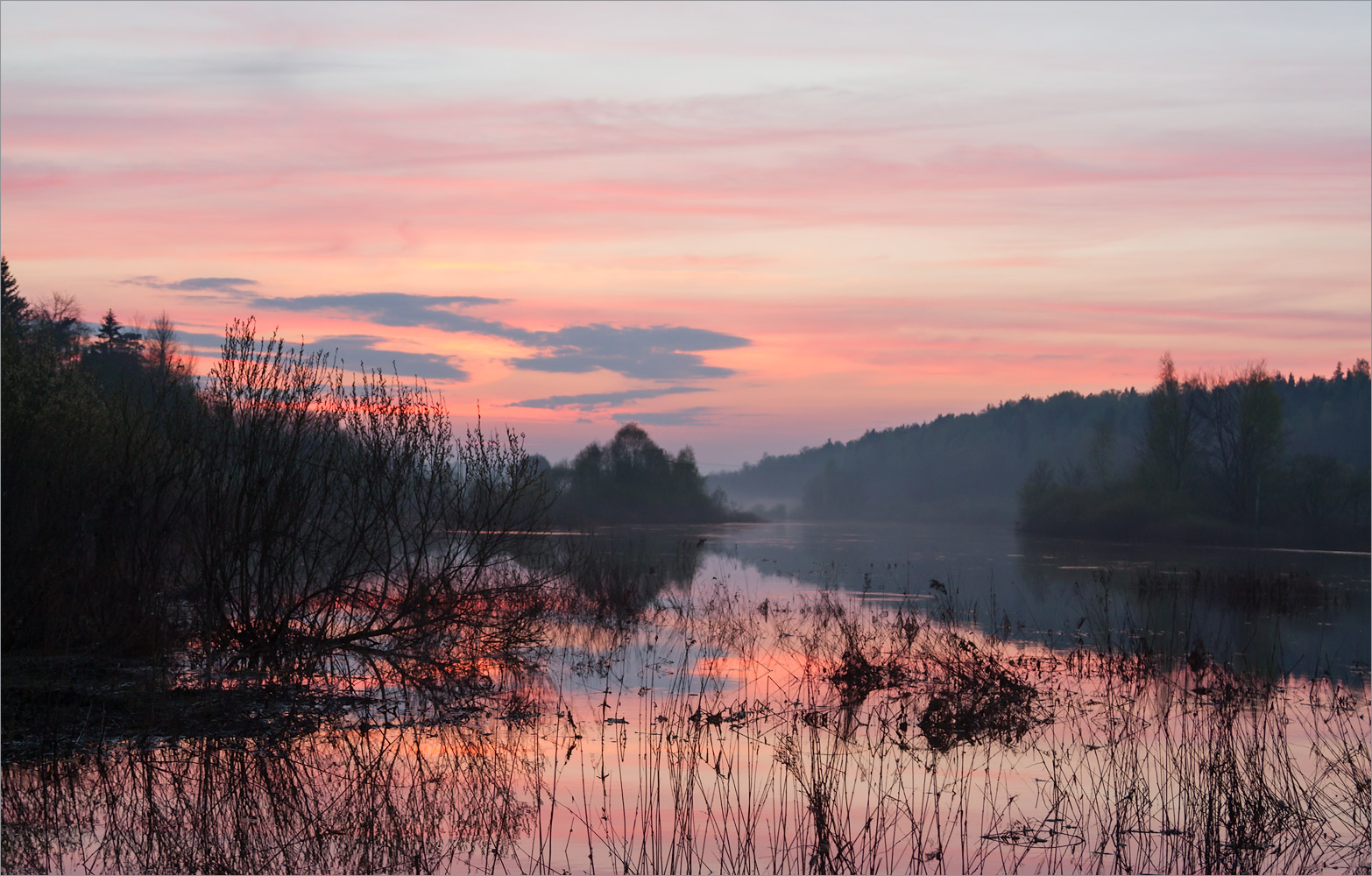 Окрестности Толмачёво, image of landscape/habitat.
