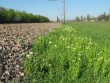 Большая Долина, image of landscape/habitat.