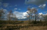 Левый берег реки Волга, image of landscape/habitat.