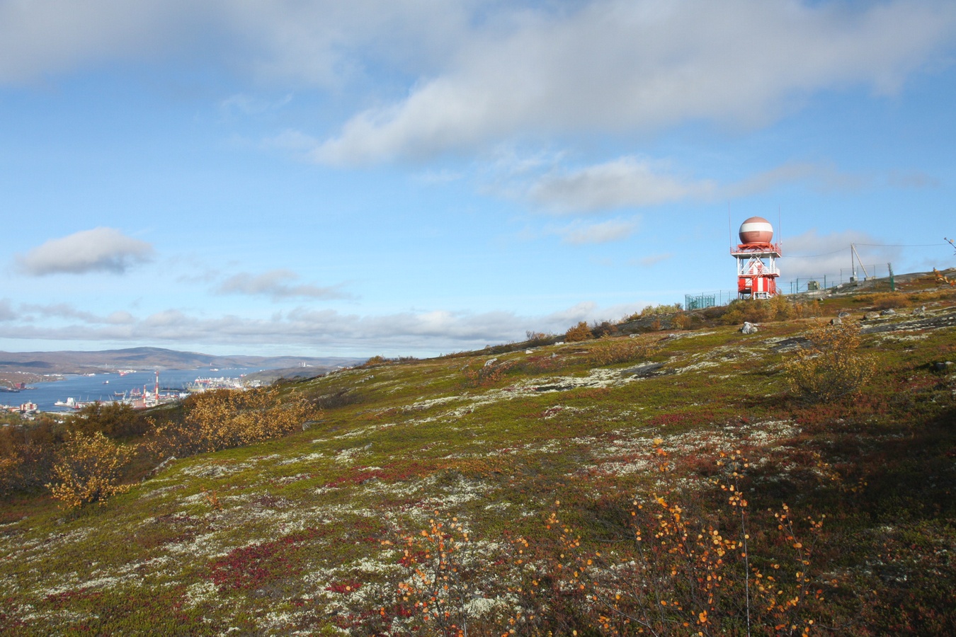 Горелая сопка, image of landscape/habitat.