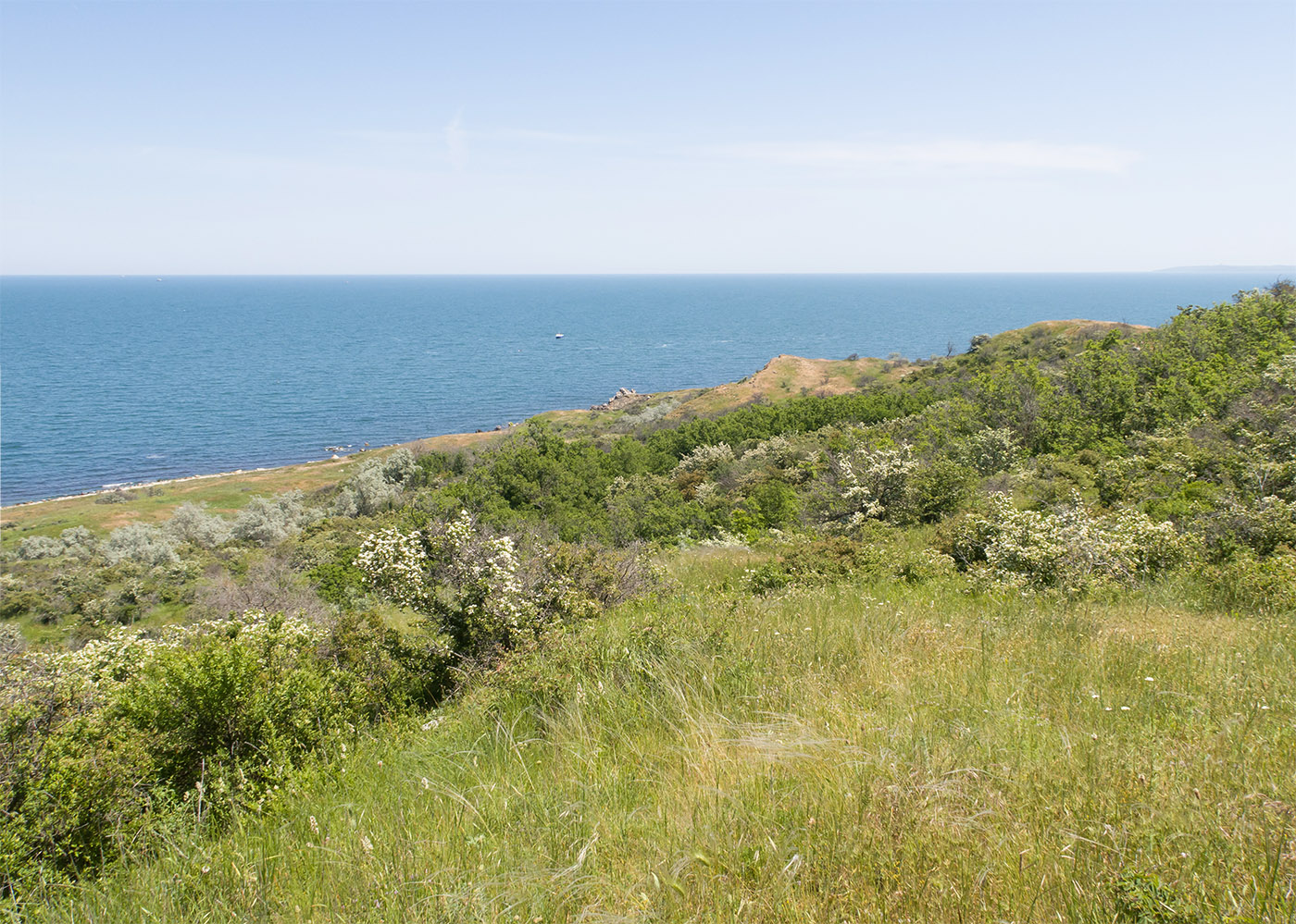 Мыс Орёл, image of landscape/habitat.