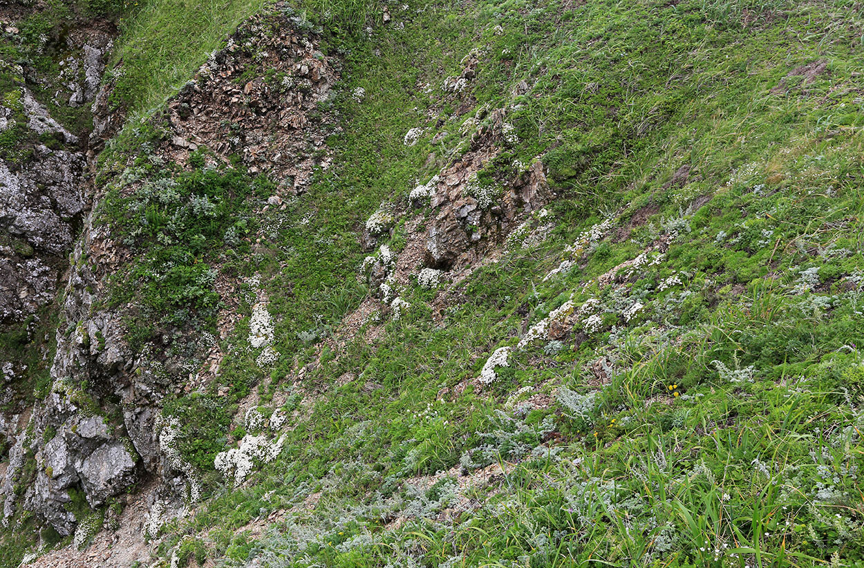 Мыс Четырёх Скал, изображение ландшафта.