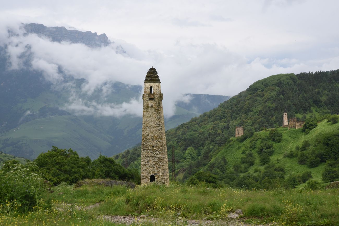 Оздиг и окрестности, image of landscape/habitat.